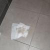 L'état d'un seul carrelage !!
