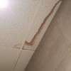 plafond de la salle de bain