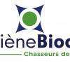 Hygiène Biocide - Chasseurs de Nuisibles