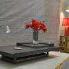 Table Basse Module