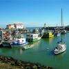 port de la Cotinière