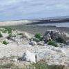 Ile Madame