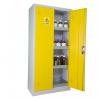 Armoire de sécurité Trionyx