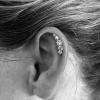 Bijou de cartilage