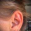 Anneau en or rose 18 carats pour piercing Rook