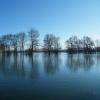 Cure de jouvence pour les arbres !!