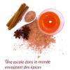 Soin aux épices bio (idée cadeau)