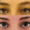 Création de la ligne des sourcils...