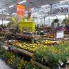 Marché aux fleurs