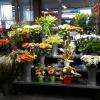 Fleuristerie