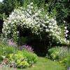 pour cadre, un jardin d'exception  