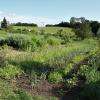 Jardin d'even - Corbeauval 