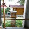 la petite ruche, à côté de la serre parlant des abeilles