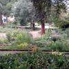 Jardin botanique