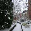 Janvier 2013 le jardin des senteurs sous la neige .