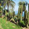 jardin exotique