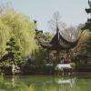 jardin chinois kiosque