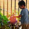 Les mercredi c'est Jardi avec les enfants à Béziers ateliers jardinage autour des plantes pour les enfants, comprendre la nature, découvrir les fruits et légumes de saisons, faire pousser, semer, planter, on découvre , on apprend, on participe et  surtout on met les mains dans la terre.