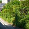 La montée au jardin.