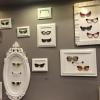 Intérieur 
JFL OPTCIENS - Optique & Lunetterie
Paris 11
