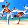 capoeira paris 2013.
