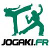 Jogaki capoeira Paris - cours de capoeira à Paris. Pour apprendre la capoeira 2013.