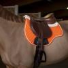 Tapis amortisseur pour cheval, K-Briole, Commentry (03)