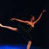 Le Cygne noir Kenza N'Daiye 
