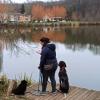 Kanine Dog – Educateur et comportementaliste canine entre Rennes et Ploërmel
