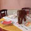 Table VIP