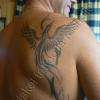 tattoo phoenix tribal 
sur yanis
