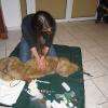 Formation au secourisme canin