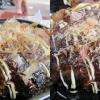 Okonomiyaki au poulpe