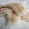 Filets de cabillaud
