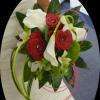 Fleurs et Plantes