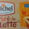 Le marbré de St Michel