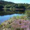 vue sur le lac