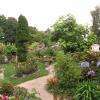 le superbe petit jardin en août
