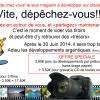 Négatifs encore développés sur place, dépêchez-vous!!!