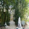 L’essence Bambou Bien être en Cévennes SPA massage