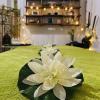 L’essence Bambou Bien être en Cévennes SPA massage