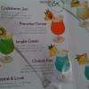 Carte de cocktails