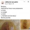 Pain brié, au ségle aux noix  et baguette l'héritière.