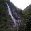 morel