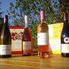 Un petit aperçu des vins sélectionnés par La Cave des Préaux.