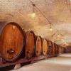 La cave historique des hospices à Strasbourg