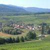 Depuis la chapelle, vue sur le vignoble d'Orschwihr