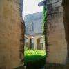 Chartreuse