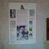 Chartreuse