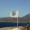 le drapeau corse
